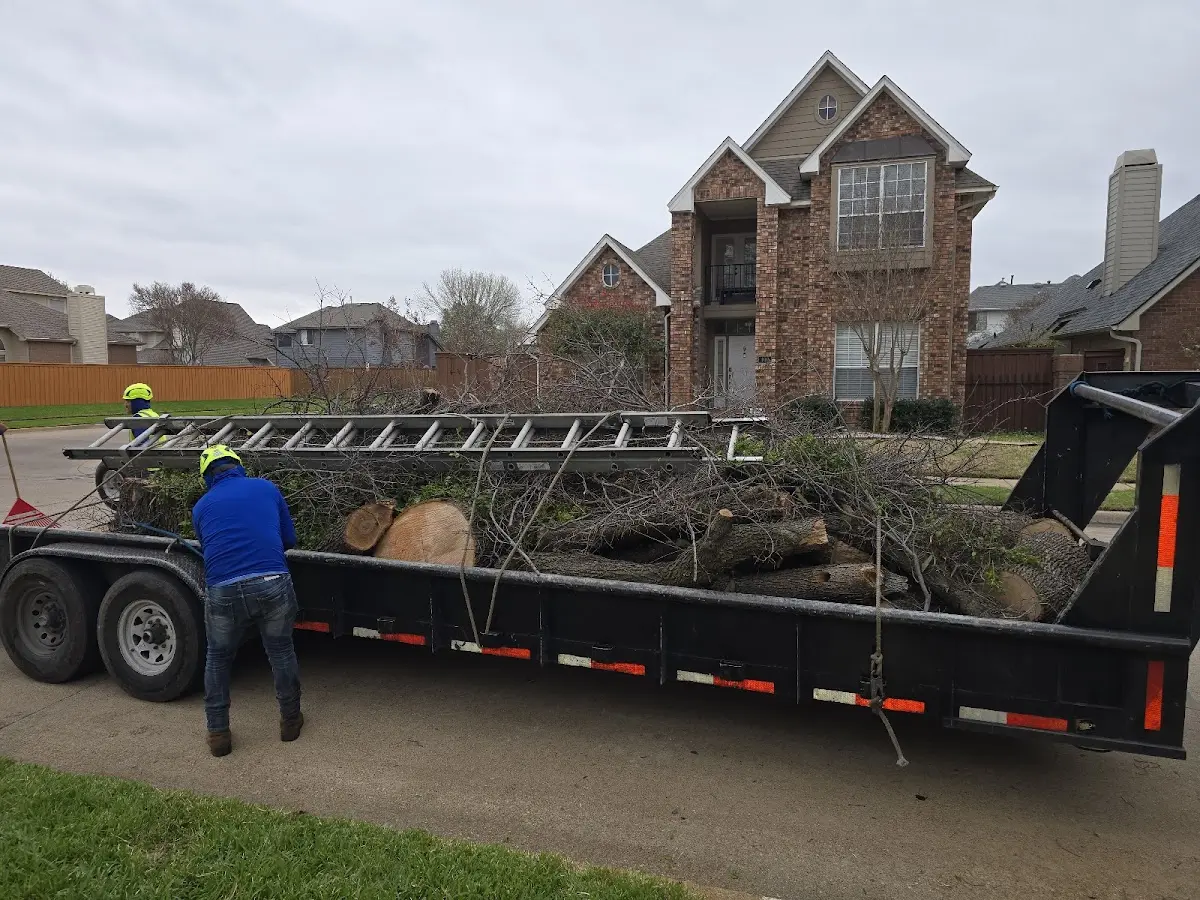 Expert Tree Removal with proper safety equipment in Yorkville